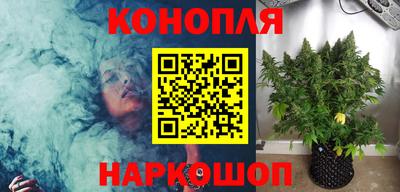 гидропоника Пугачёв