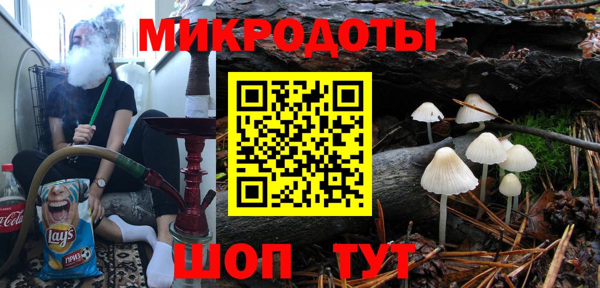 Галлюциногенные грибы Psilocybe Родники