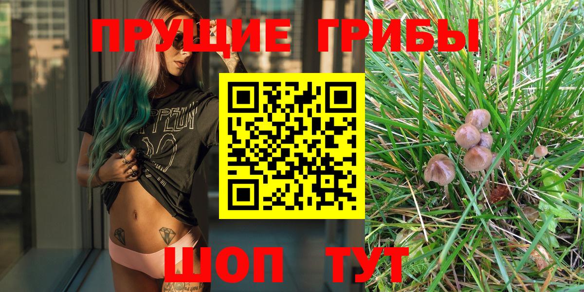 Псилоцибиновые грибы Psilocybine cubensis  Вход с VPN  Родники  Псилоцибиновые грибы MAGIC MUSHROOMS 